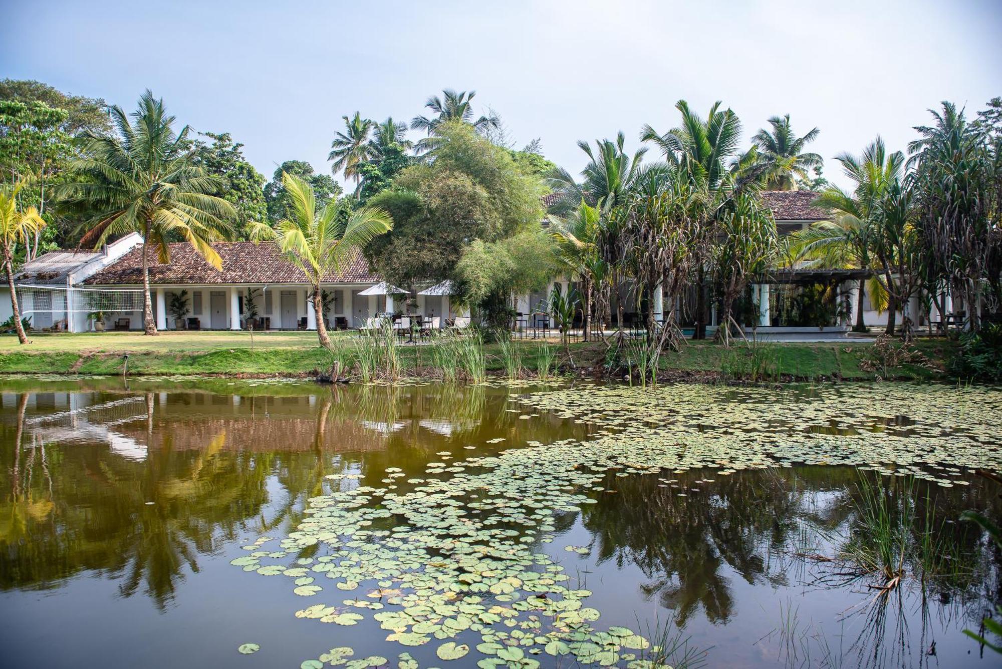 Good Story At Nirbana Island Bed & Breakfast Ahangama Exterior photo