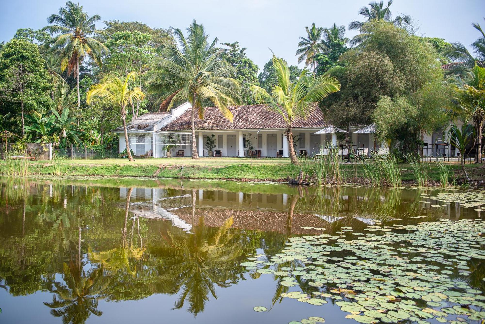 Good Story At Nirbana Island Bed & Breakfast Ahangama Exterior photo